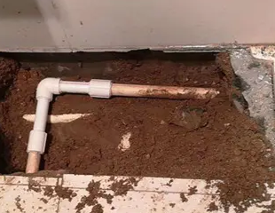 南沙测漏水哪家好