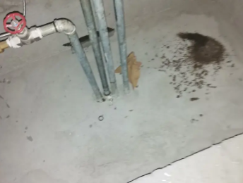 南沙卫生间测漏水价格明细