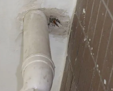 南沙漏水检测哪家好